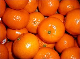 Мандарины Турецкие вес 97357