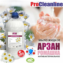 Жидкое мыло Арзан антибактериальное Ромашка 5 л 98633