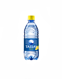 Минеральная вода Tassay газированная 0.5 л п\б 95893