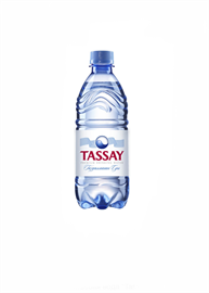 Минеральная вода Tassay не газированная 0,5 л п\б 95954